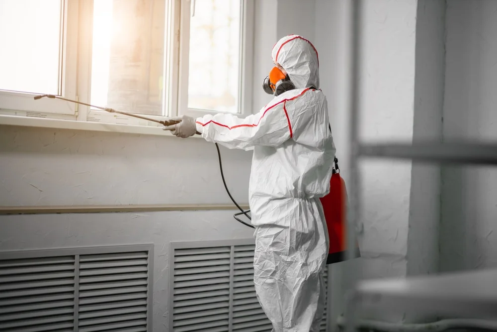 Professional mold remediation services in Forestburg, TX